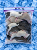 Rats 50/90g x 10