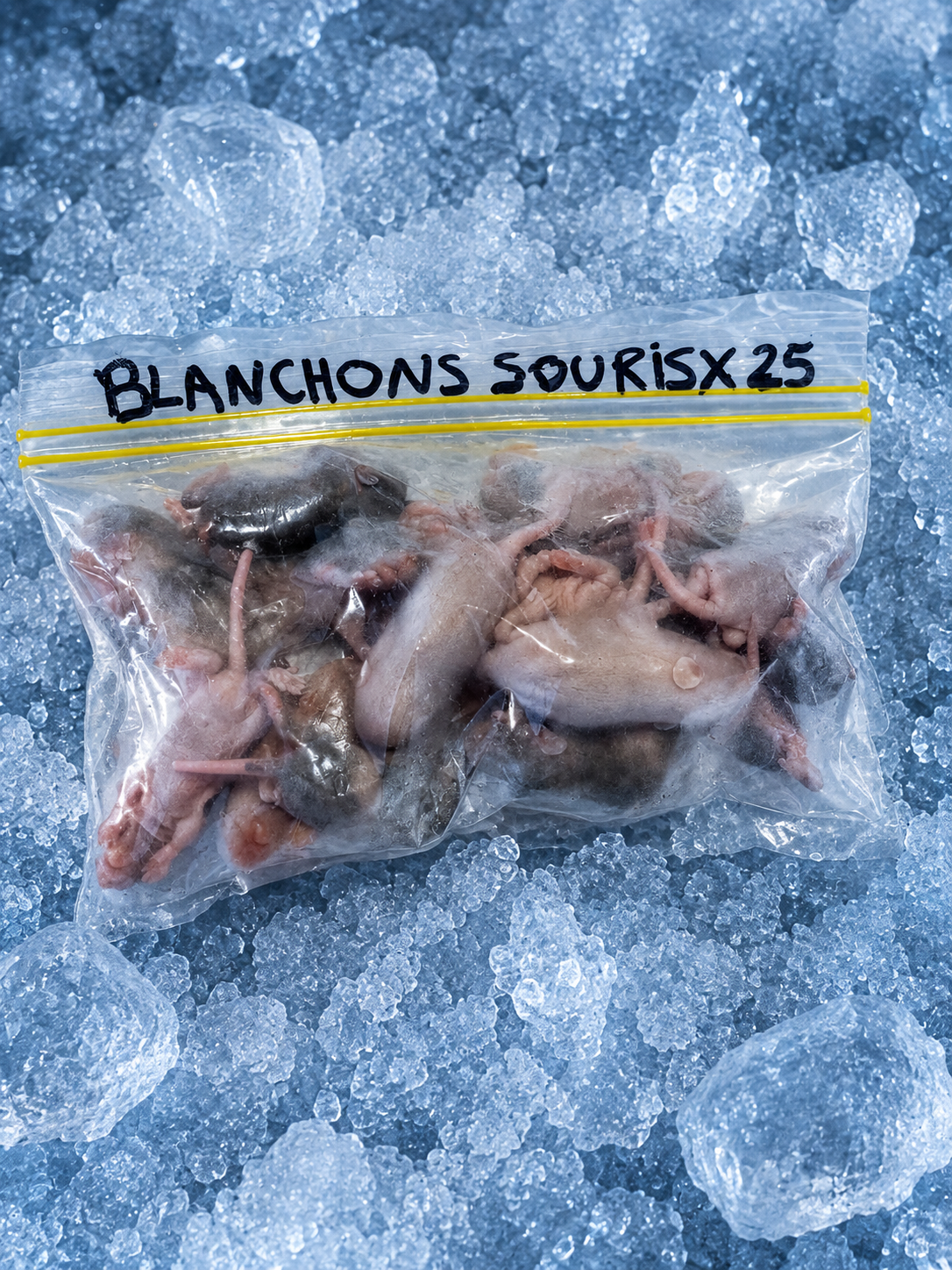 Blanchons 4/6g x 25