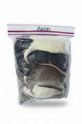 Sachet de rats sur fond blanc